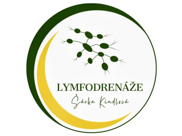 Doplňkový seminář pro absolventy